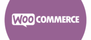 woo-commerce-logo-png_seeklogo-487468 woo-commerce-logo-png_seeklogo-487468